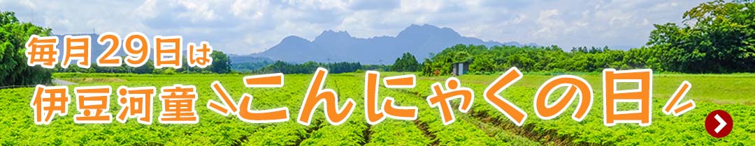 こんにゃくの日カテゴリ