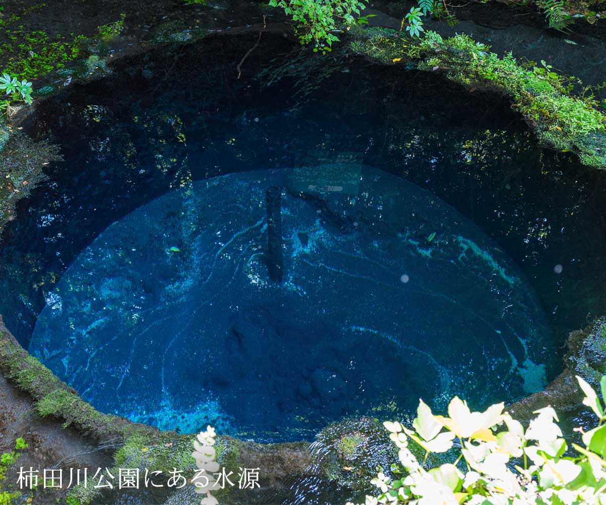 水源の湧き水