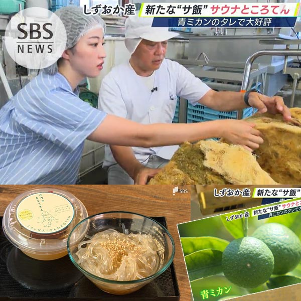 SBSテレビ LIVE静岡