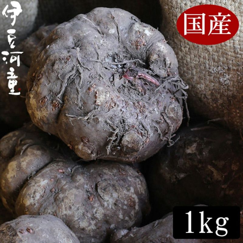 群馬県産】こんにゃく芋 箱込み15kg以内 手作りこんにゃく用【中サイズ