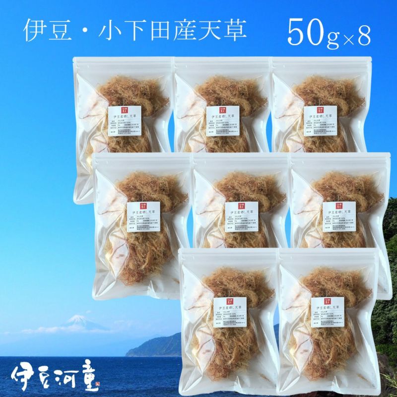 南房総産 天草 ところてん 30キロ